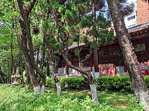 KUNMING - Temple YUANTONG - 06